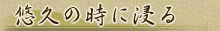 �I�v�̎��ɐZ��