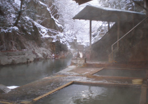 スキーパックプラン