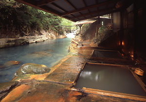 スタンダードプラン