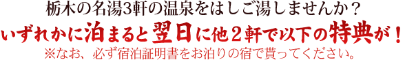 栃木の名湯3軒の温泉をはしご湯しませんか?対象宿に宿泊した翌日に以下の特典がつきます